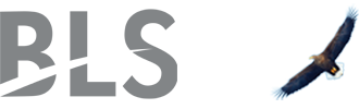 BLS International Services Ltd